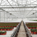 Greenhouse de type Venlo Multi Span pour fleurs